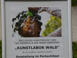 Kunstlabor Wald - 01.jpg